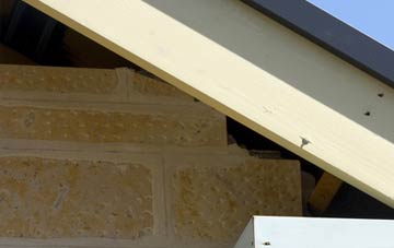 soffit repair Woodlinkin